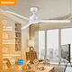 abs fan blades